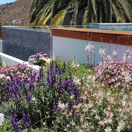 Casa Vina: A Spectacular Away From It All Holiday 拉奥罗塔瓦 外观 照片