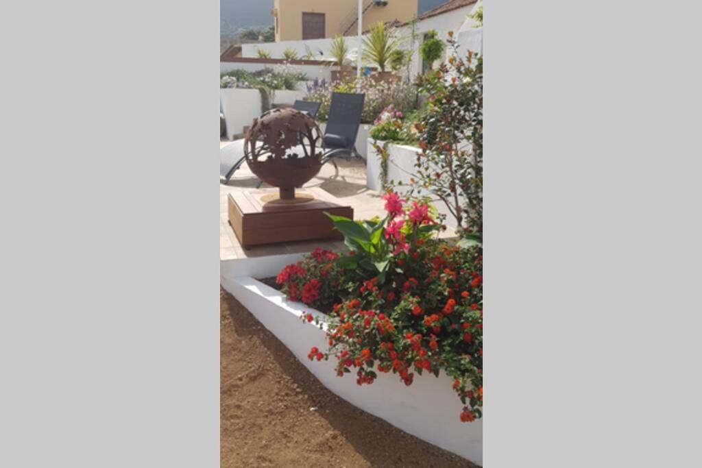 Casa Vina: A Spectacular Away From It All Holiday 拉奥罗塔瓦 外观 照片