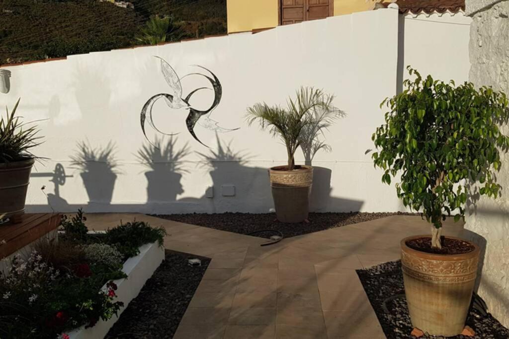 Casa Vina: A Spectacular Away From It All Holiday 拉奥罗塔瓦 外观 照片