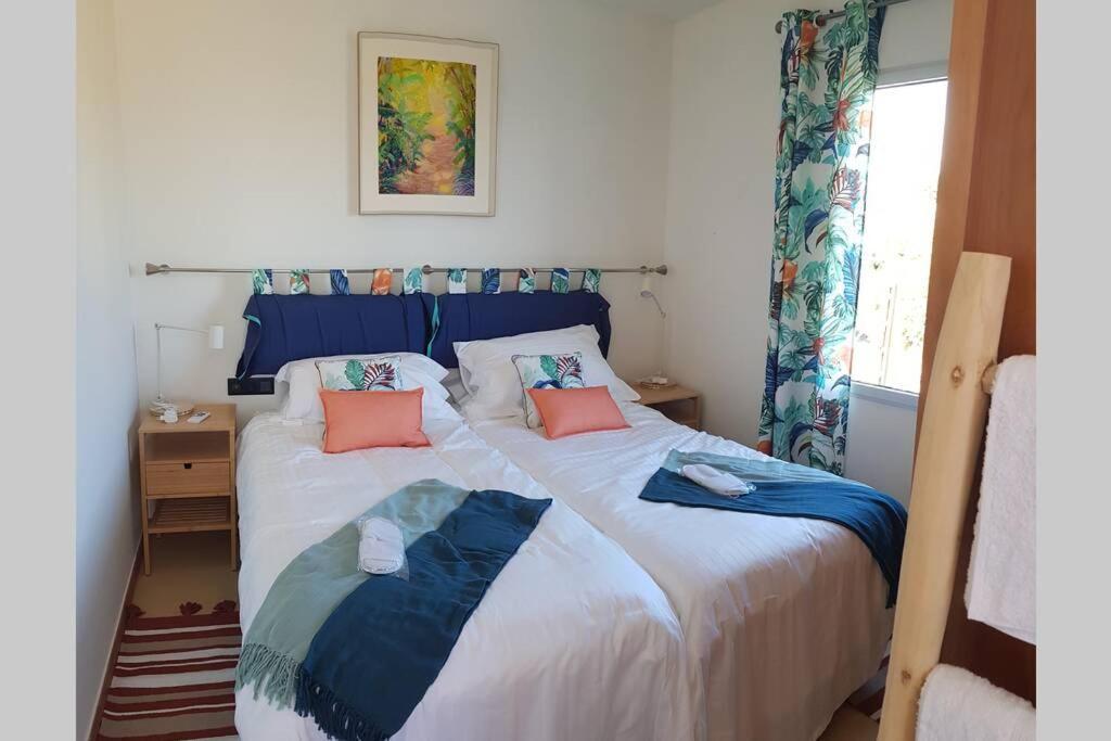 Casa Vina: A Spectacular Away From It All Holiday 拉奥罗塔瓦 外观 照片