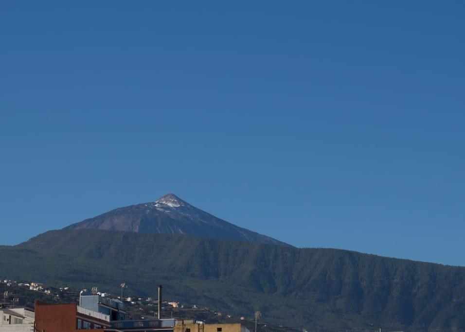Casa Vina: A Spectacular Away From It All Holiday 拉奥罗塔瓦 外观 照片