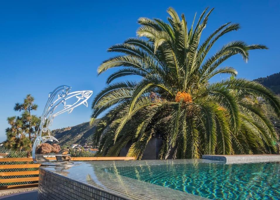 Casa Vina: A Spectacular Away From It All Holiday 拉奥罗塔瓦 外观 照片