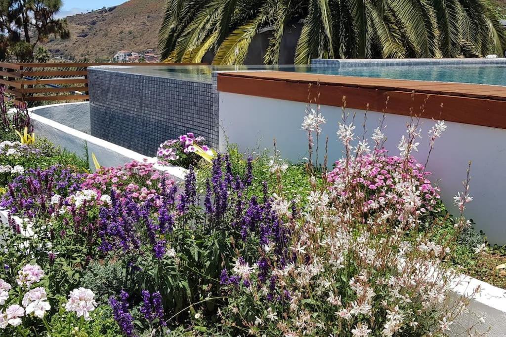 Casa Vina: A Spectacular Away From It All Holiday 拉奥罗塔瓦 外观 照片