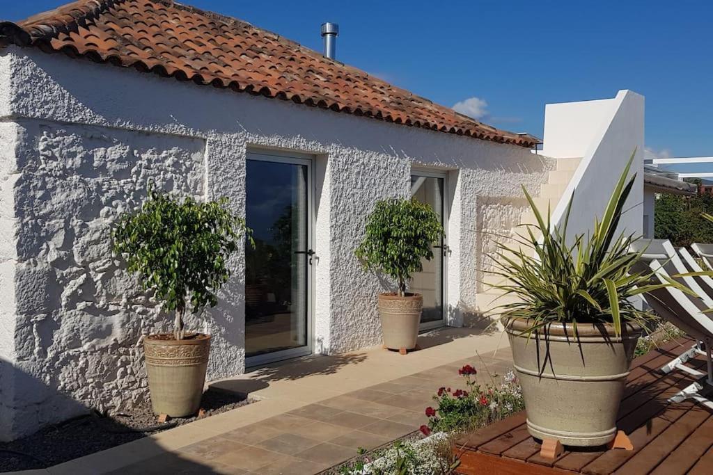 Casa Vina: A Spectacular Away From It All Holiday 拉奥罗塔瓦 外观 照片