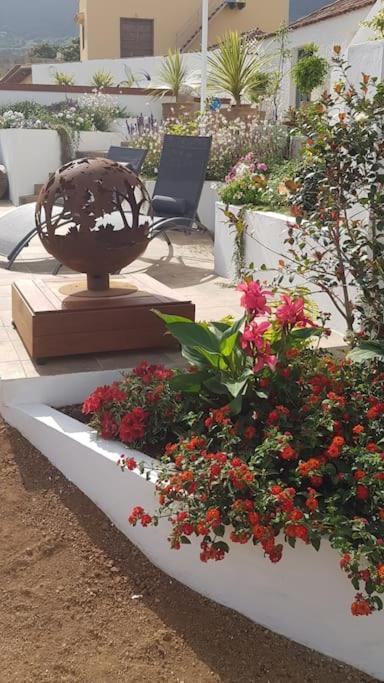 Casa Vina: A Spectacular Away From It All Holiday 拉奥罗塔瓦 外观 照片